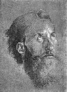 Head of an Apostle Looking Upward Albrecht Durer